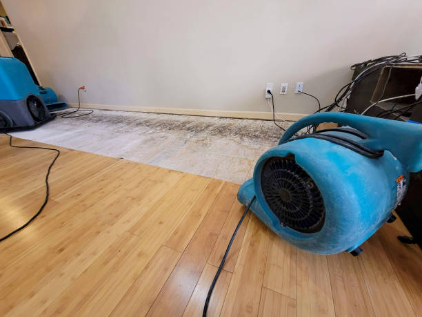 Reliable Basement Flood Cleanup contractor in Dublin, OH by Hirex Water Damage