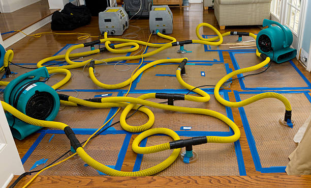 Professional Basement Flood Cleanup technician working in Dublin, OH